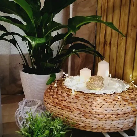 Apartmán Rocha H'om'e *